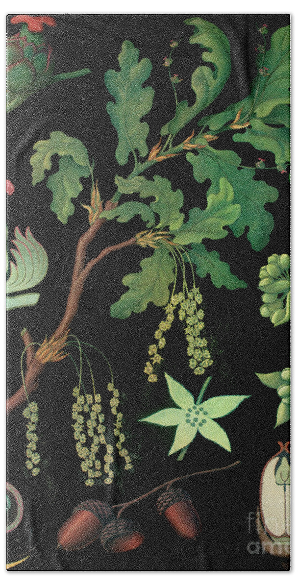 Vintage Botanical Hand Towel featuring the painting Vintage Botanical by Mindy Sommers
