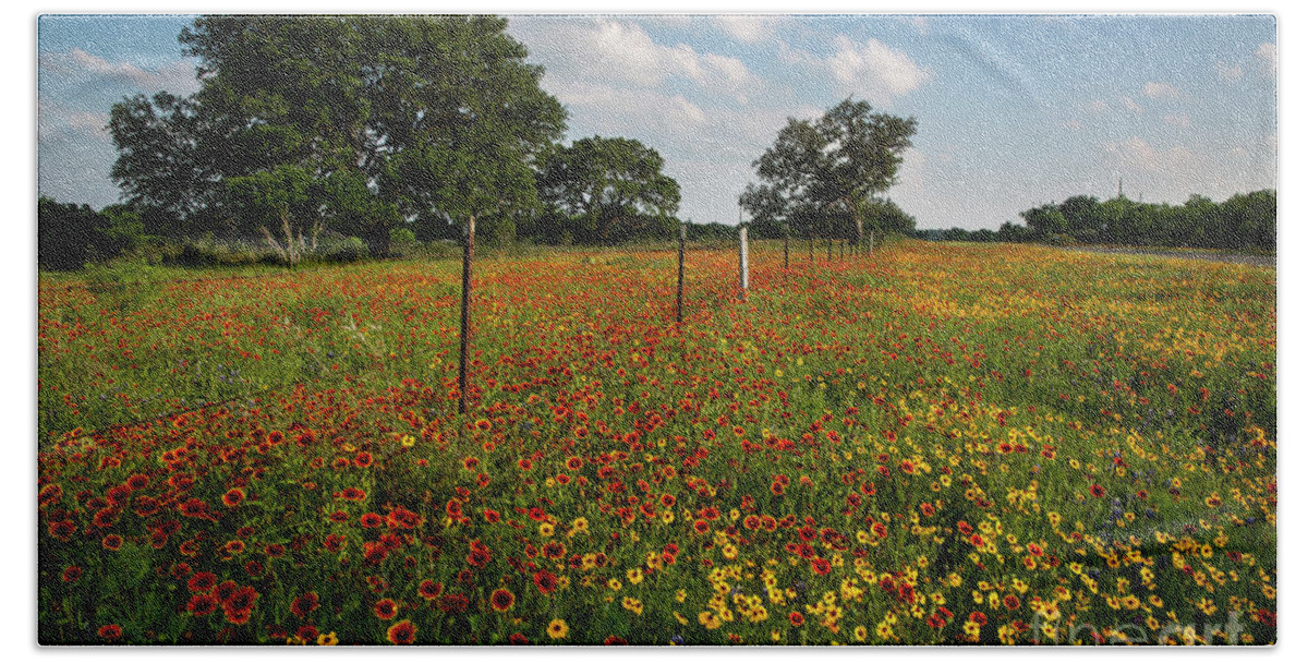 Fence Hand Towel featuring the photograph Vivid colorful wildflower field next to a barb wire fence and Te by Dan Herron