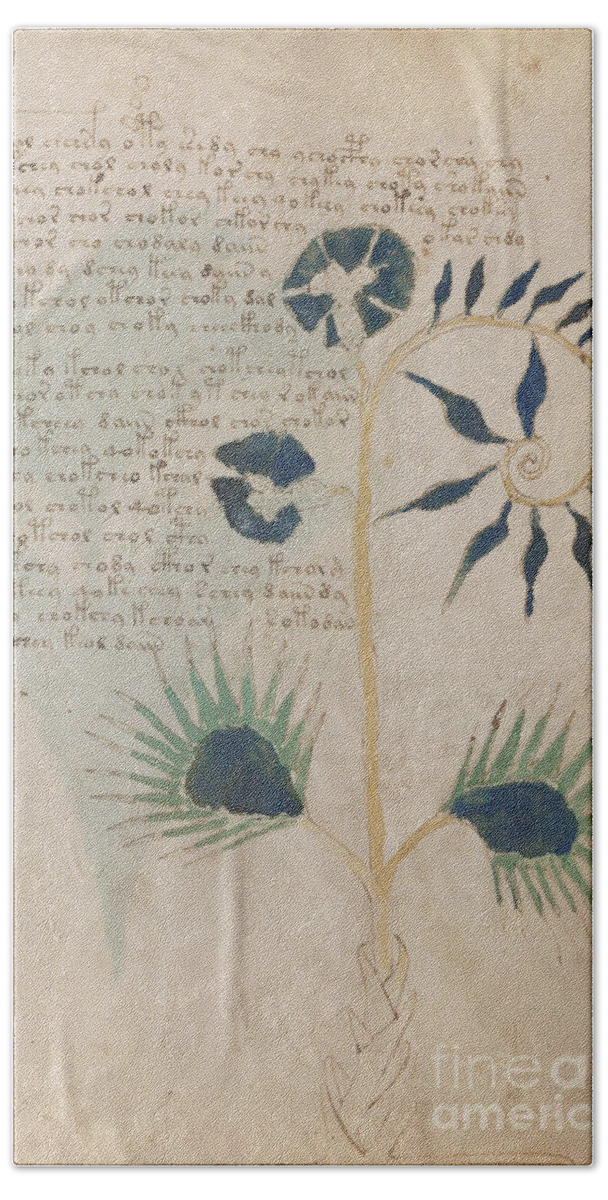 Plant Hand Towel featuring the drawing Voynich flora 12 by Rick Bures