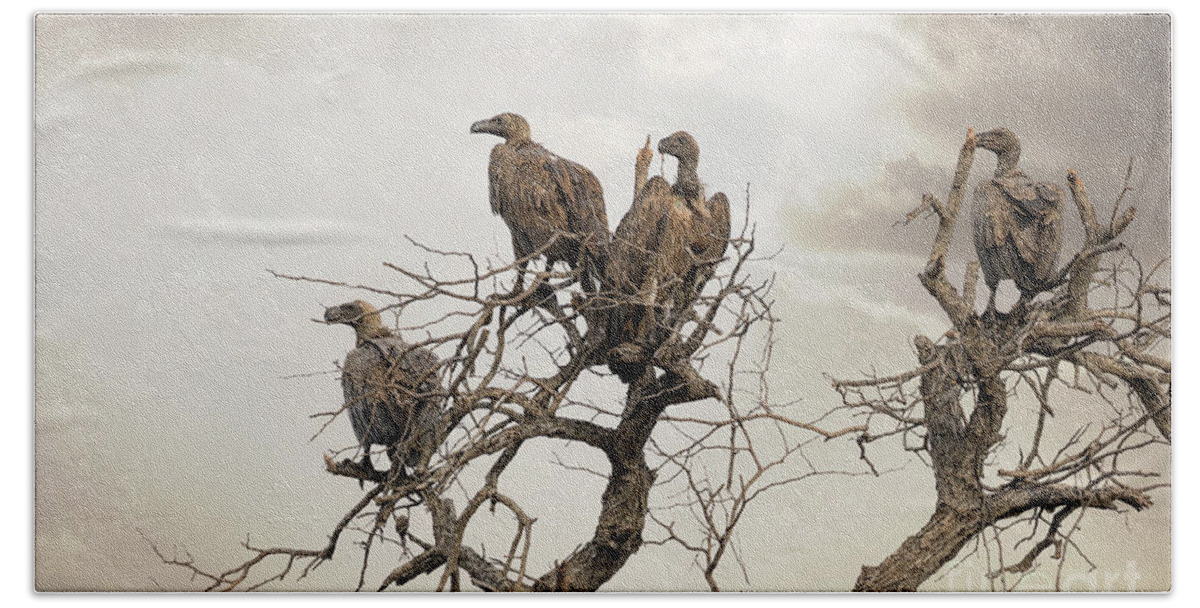 Vulture Bath Towel featuring the photograph Vultures in a dead tree. by Jane Rix