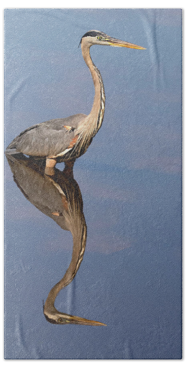 Great Blue Heron Bath Towel featuring the photograph Sky Wader by Art Cole
