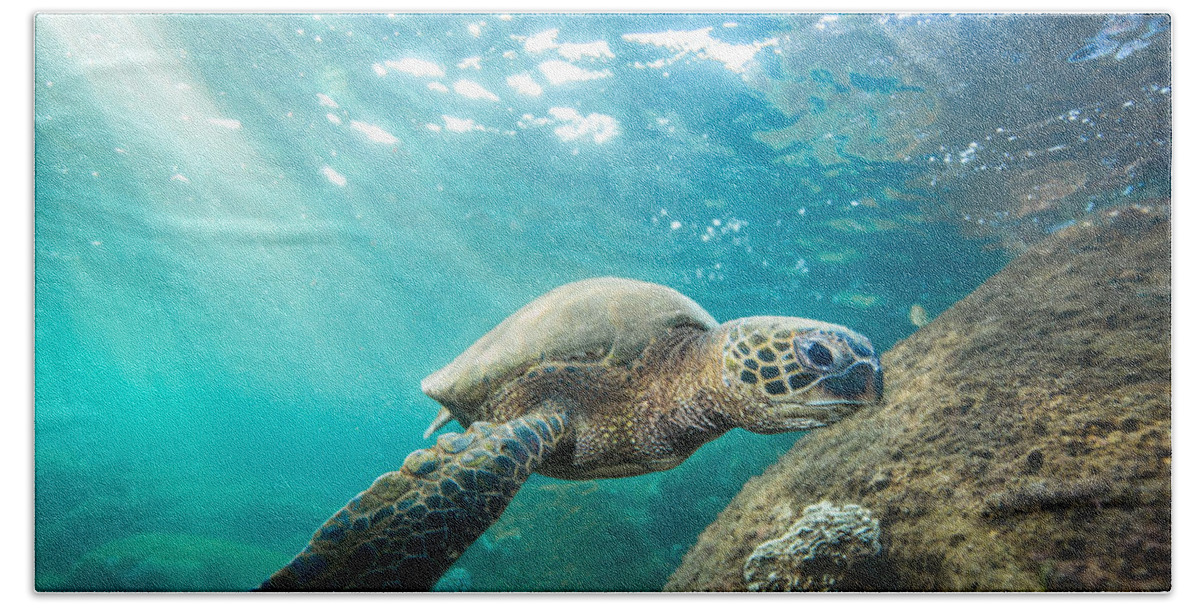 Hawaii Photography Hand Towel featuring the photograph Waimea Sea Turtle by Leonardo Dale