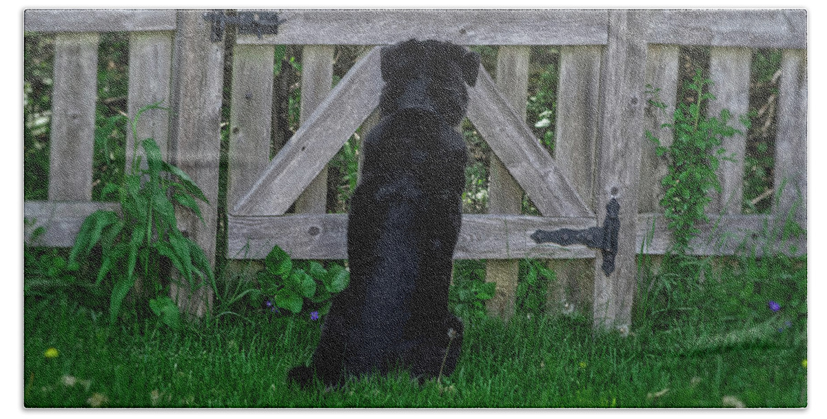 Animals Bath Towel featuring the photograph Waiting At The Gate by Jim Shackett
