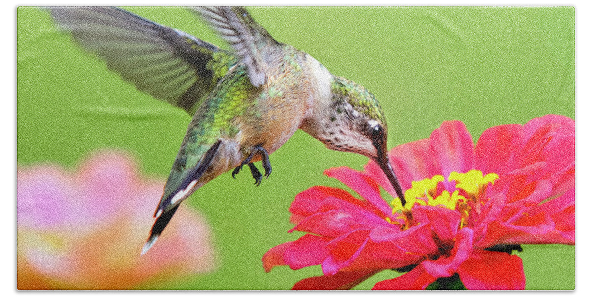 Hummingbird Bath Towel featuring the photograph Waiting in the Wings Hummingbird Square by Christina Rollo