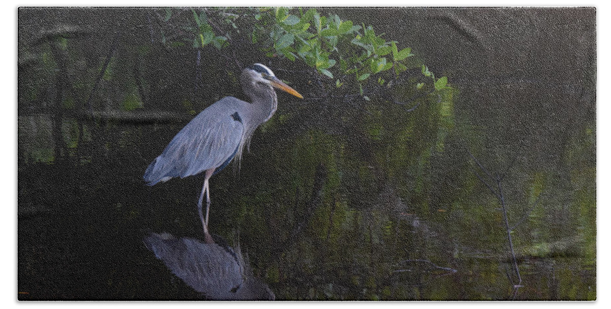 Great Blue Heron Bath Towel featuring the photograph Waiting Patiently by Jim Bennight