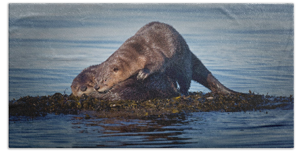 River Otter Bath Towel featuring the photograph Wake Up by Randy Hall