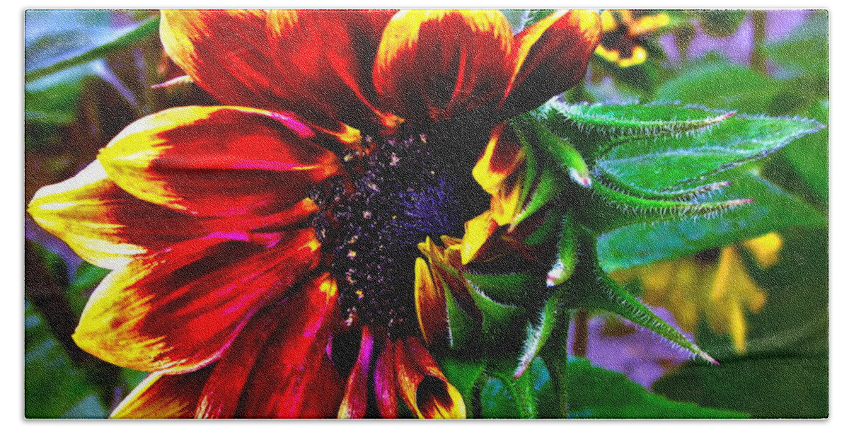 Sunflower Hand Towel featuring the photograph Waking Up by Gwyn Newcombe