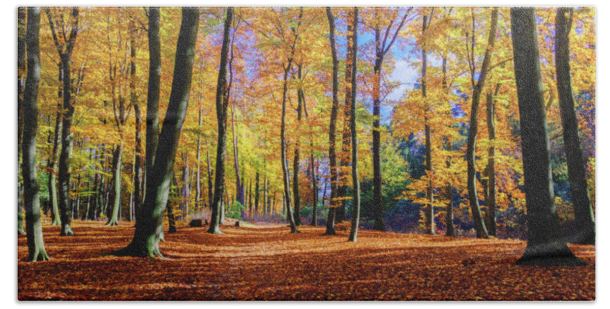 Europe Bath Towel featuring the photograph Walking in the golden woods by Dmytro Korol