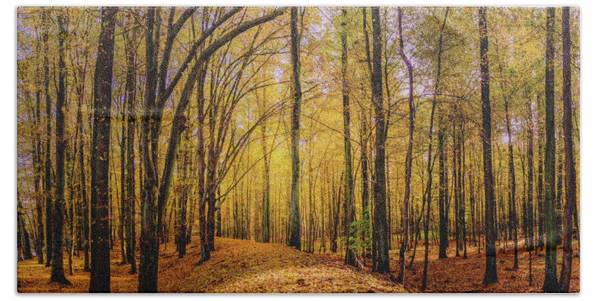 Europe Bath Towel featuring the photograph Walkway in the autumn woods by Dmytro Korol