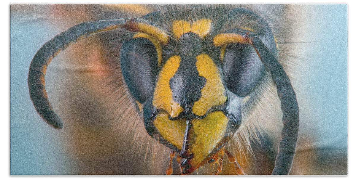Wasp Hand Towel featuring the photograph Wasp portrait by Alexey Kljatov