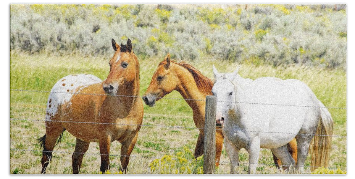 Horses Bath Towel featuring the photograph Watchful by Merle Grenz