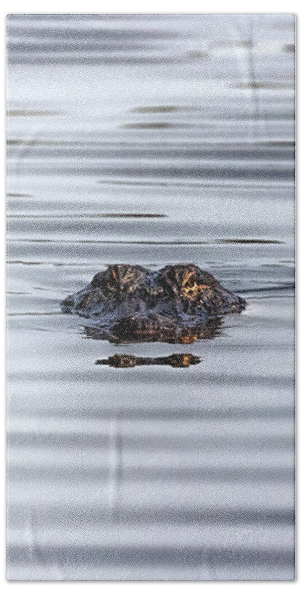 Alligator Bath Towel featuring the photograph Watching You by Susan Rissi Tregoning