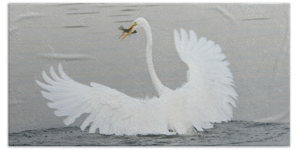 Great Egret Hand Towel featuring the photograph Water Dance by Fraida Gutovich