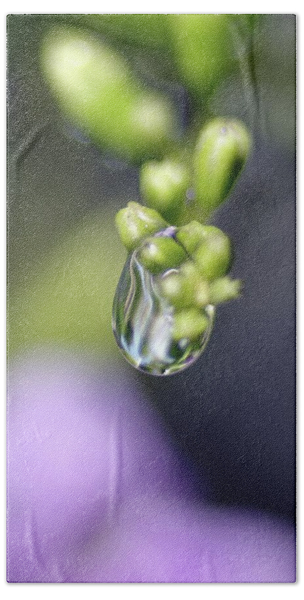 Macro Photography Bath Towel featuring the photograph Water Droplet IV by Richard Rizzo
