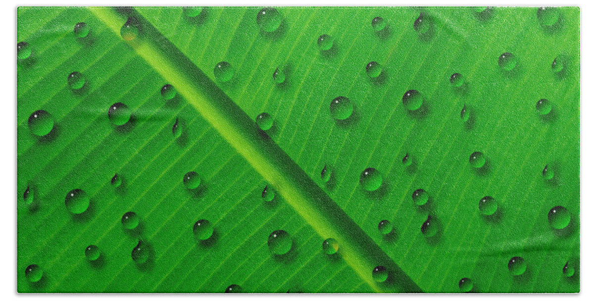 Water Drops On Palm Leaf Bath Towel featuring the painting Water Drops on Palm Leaf by Georgeta Blanaru