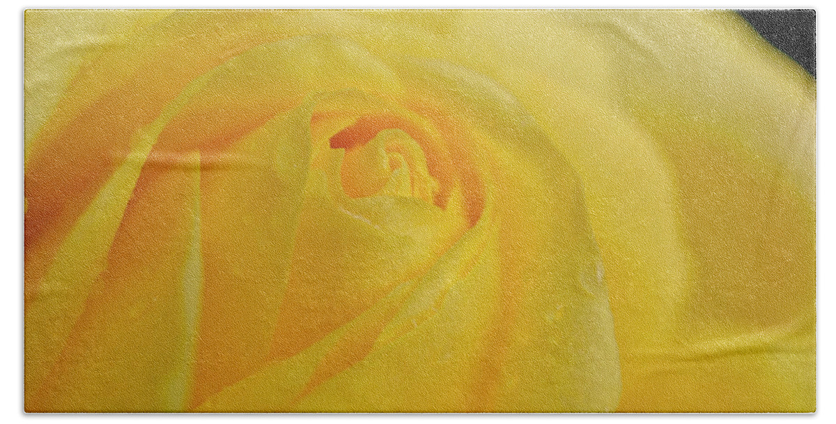 Floral Bath Towel featuring the photograph Water drops on Yellow Rose. by Elena Perelman