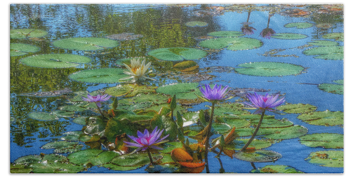 Alligators Hand Towel featuring the photograph Water Lilies I by Kathi Isserman