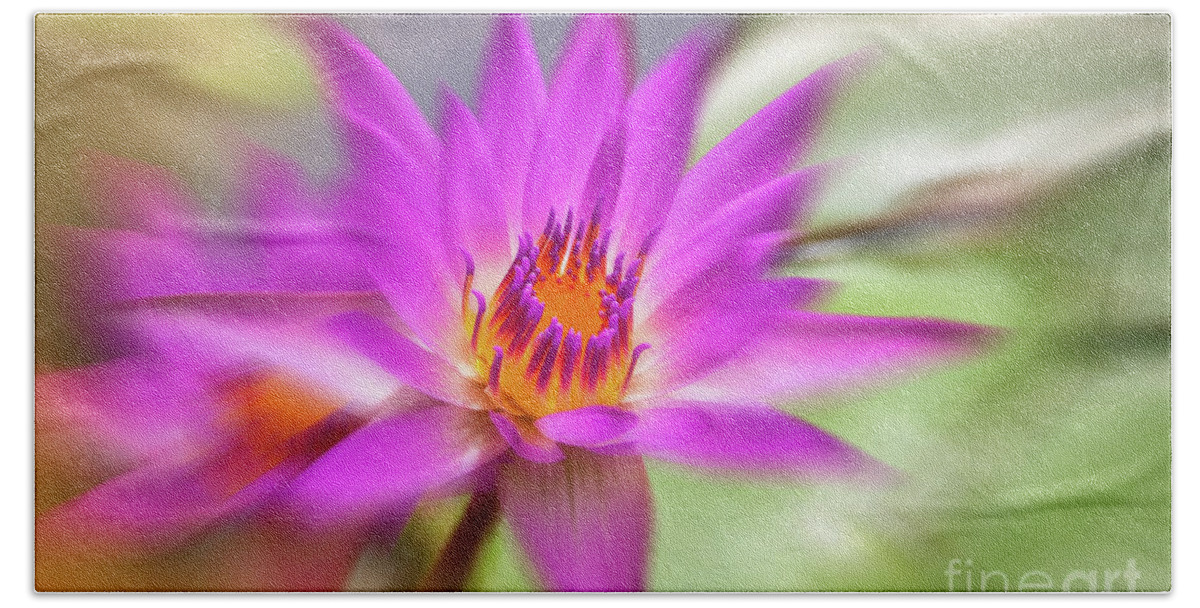 Water Lily Bath Towel featuring the photograph Water lily by Delphimages Photo Creations