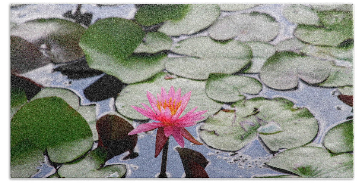 Water Lily Bath Towel featuring the photograph Water Lily in the Pond by Jackson Pearson