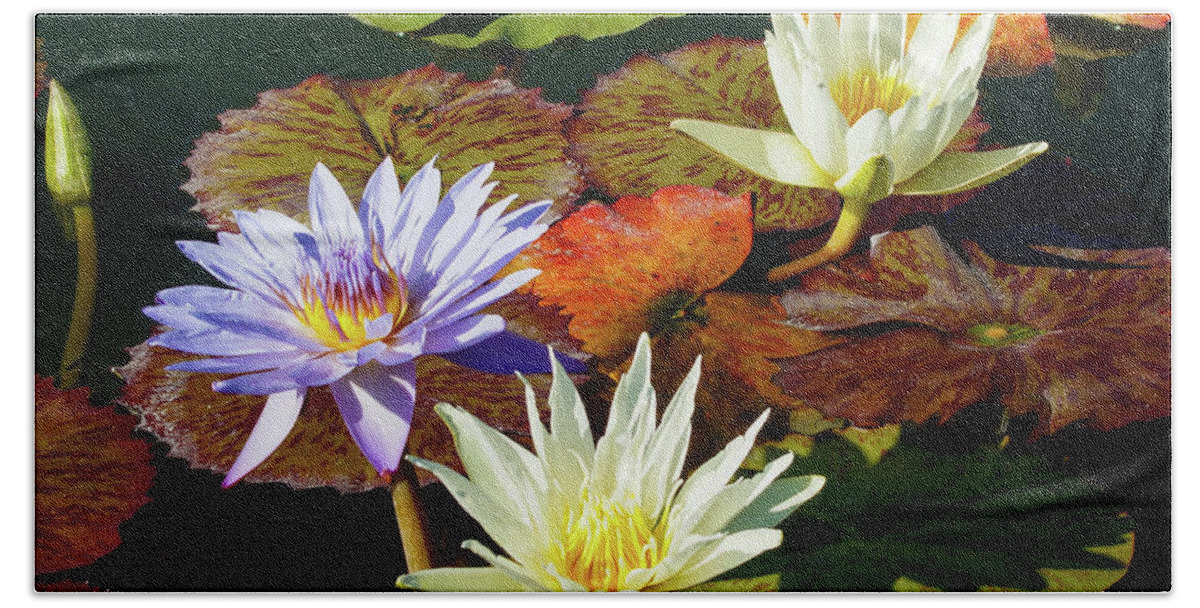 Water Lily Bath Towel featuring the photograph Water Lily Party by Joe Kopp