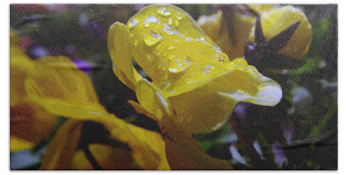 Floral Bath Towel featuring the photograph Waterdrops On A Pansy by Jeff Swan