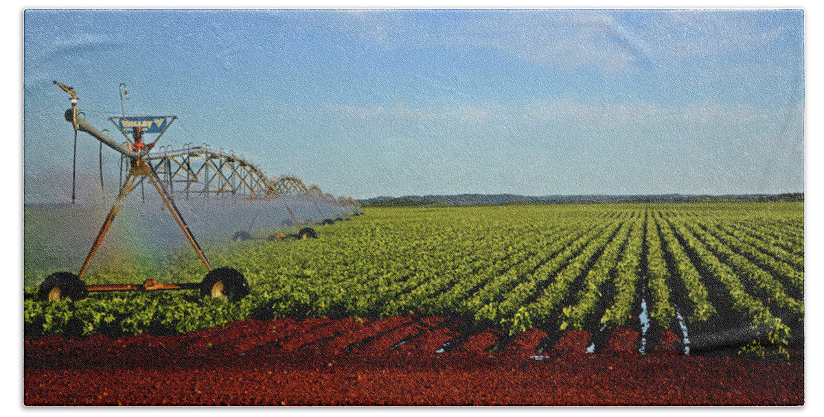 Irrigation Hand Towel featuring the photograph Watering The Garden 002 by George Bostian