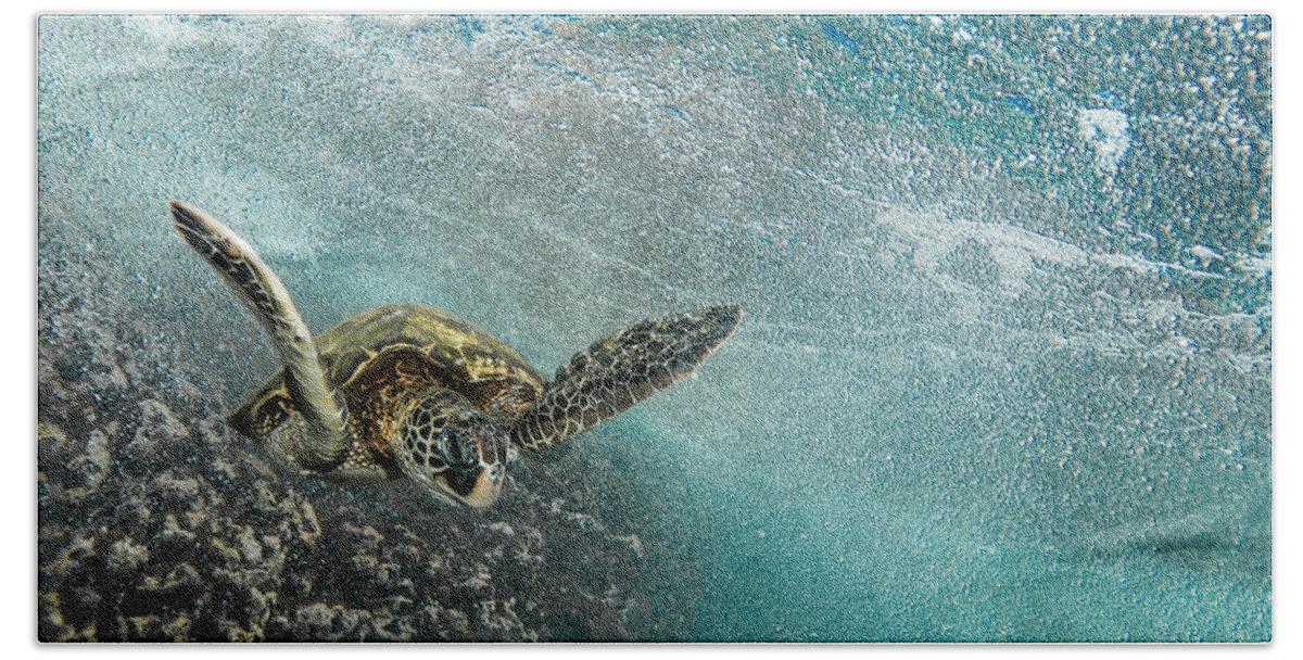Sea Turtle Hand Towel featuring the photograph Wave Rider Turtle by Leonardo Dale