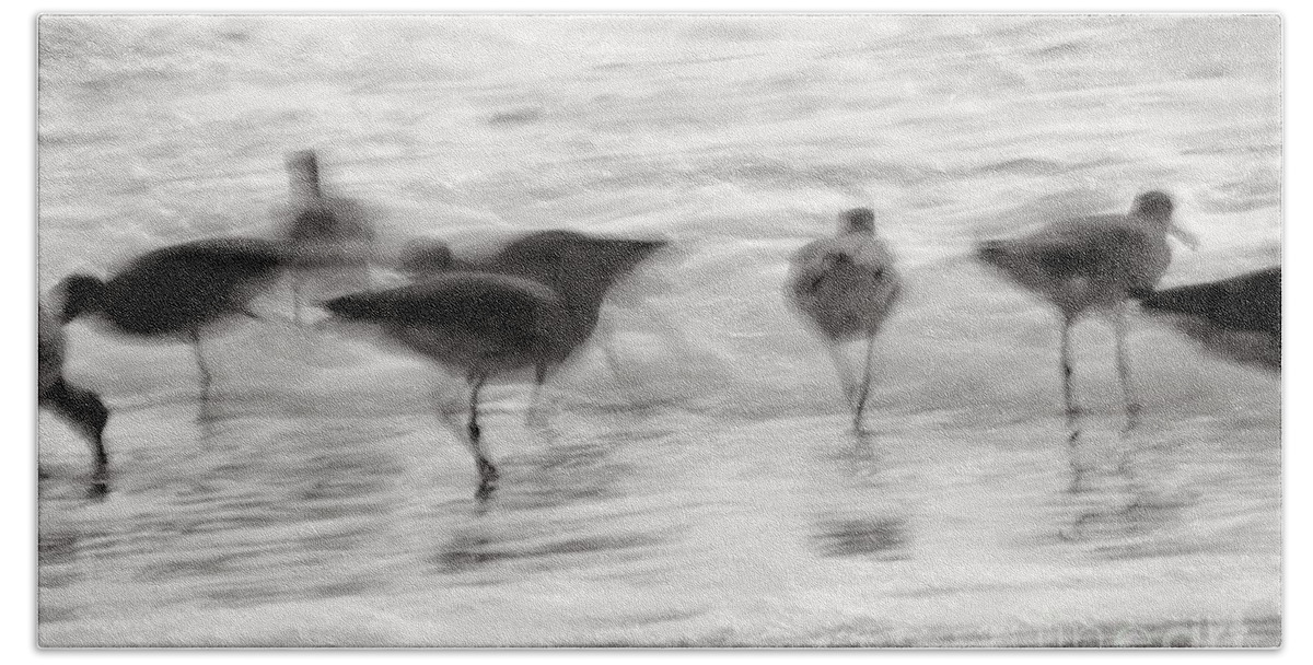 Blue Bath Towel featuring the photograph Plundering Plover Series in Black and White 2 by Angela Rath