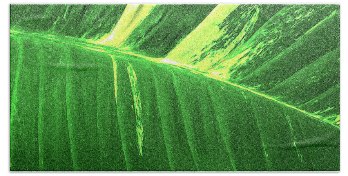 Waves Of Green Bath Sheet featuring the photograph Waves of Green by James Temple