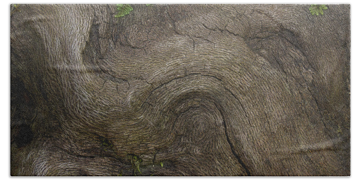 Root Bath Towel featuring the photograph Weathered Tree Root by Mike Eingle