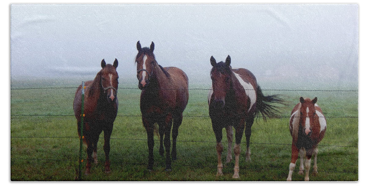 Horse Bath Towel featuring the photograph We're Waiting by Wild Thing