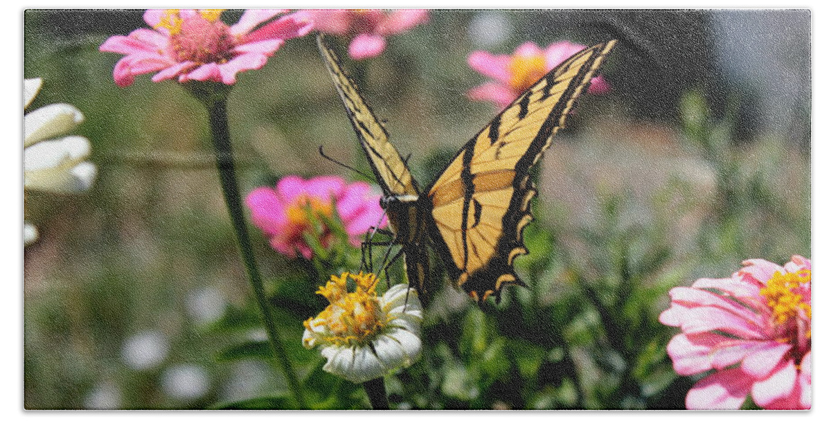 Western Tiger Swallowtail Hand Towel featuring the photograph Western Tiger Swallowtail 1 by Jean Evans