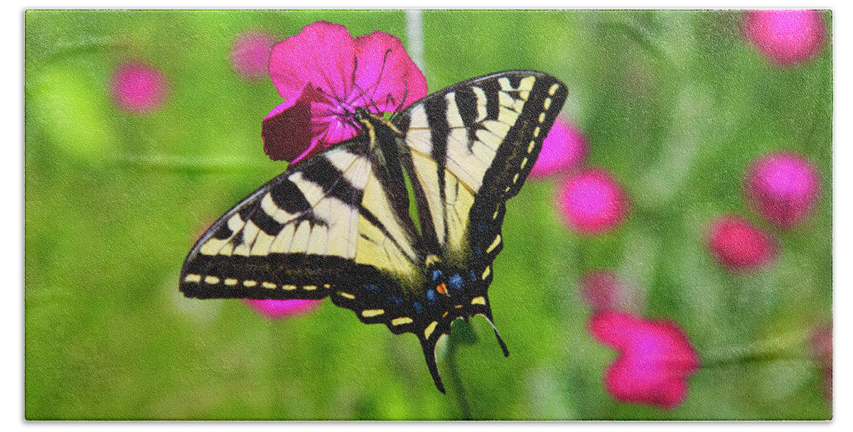 Western Tiger Swallowtail Butterfly Hand Towel featuring the photograph Western tiger Swallowtail butterfly by Bruce Block