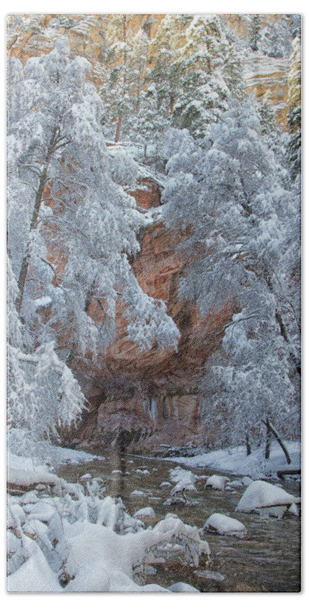Westfork Trail Hand Towel featuring the photograph Westfork Charms Me by Tom Kelly