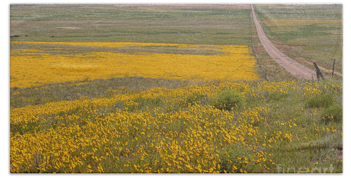 Yellow Wildflowers Bath Towel featuring the photograph What Lies Ahead by Jim Garrison