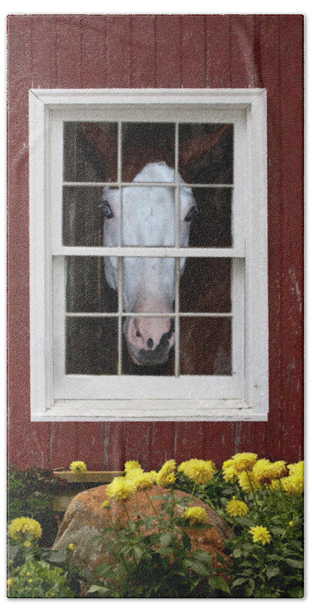 Horse Bath Towel featuring the photograph What's Out There? by Michele A Loftus