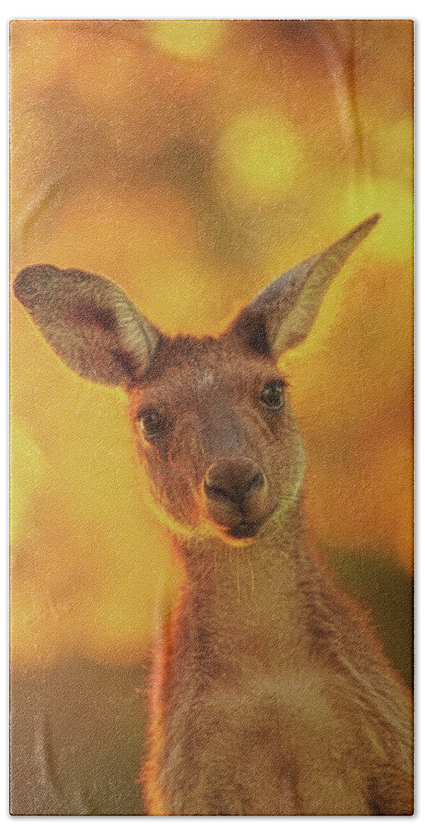 Mad About Wa Bath Towel featuring the photograph What's Up, Yanchep National Park by Dave Catley