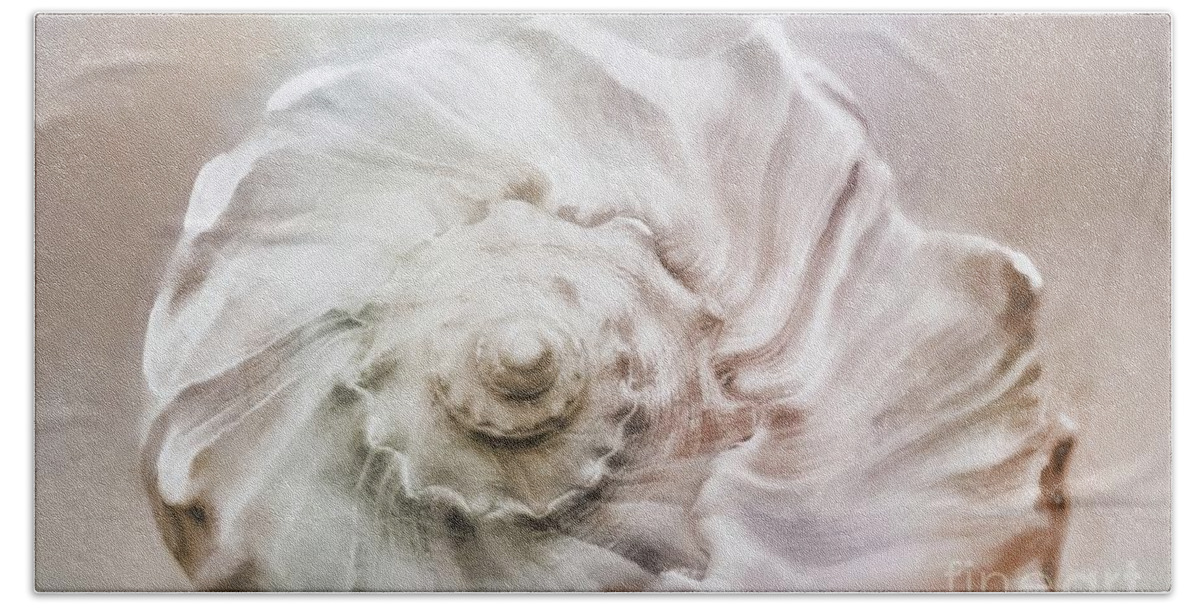Knobbed Whelk Bath Towel featuring the photograph Whelk Shell by Benanne Stiens