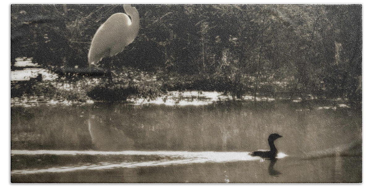 American Egret Hand Towel featuring the photograph When The Morning Fog Lifted by Steven Sparks