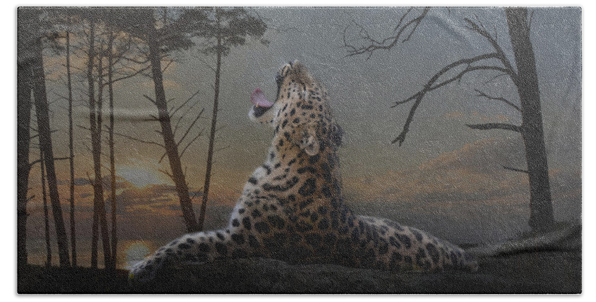 Animal Bath Towel featuring the photograph When The Night Comes by Joachim G Pinkawa