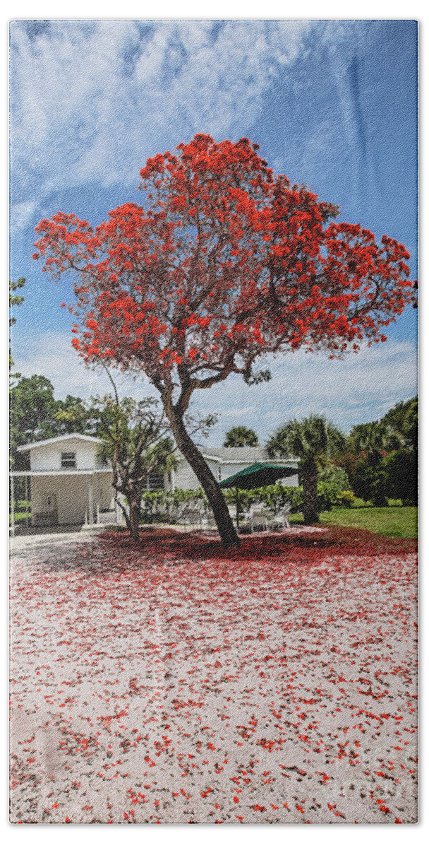 Red Tree Bath Towel featuring the photograph Where the Red Tree Grows by Scott Pellegrin
