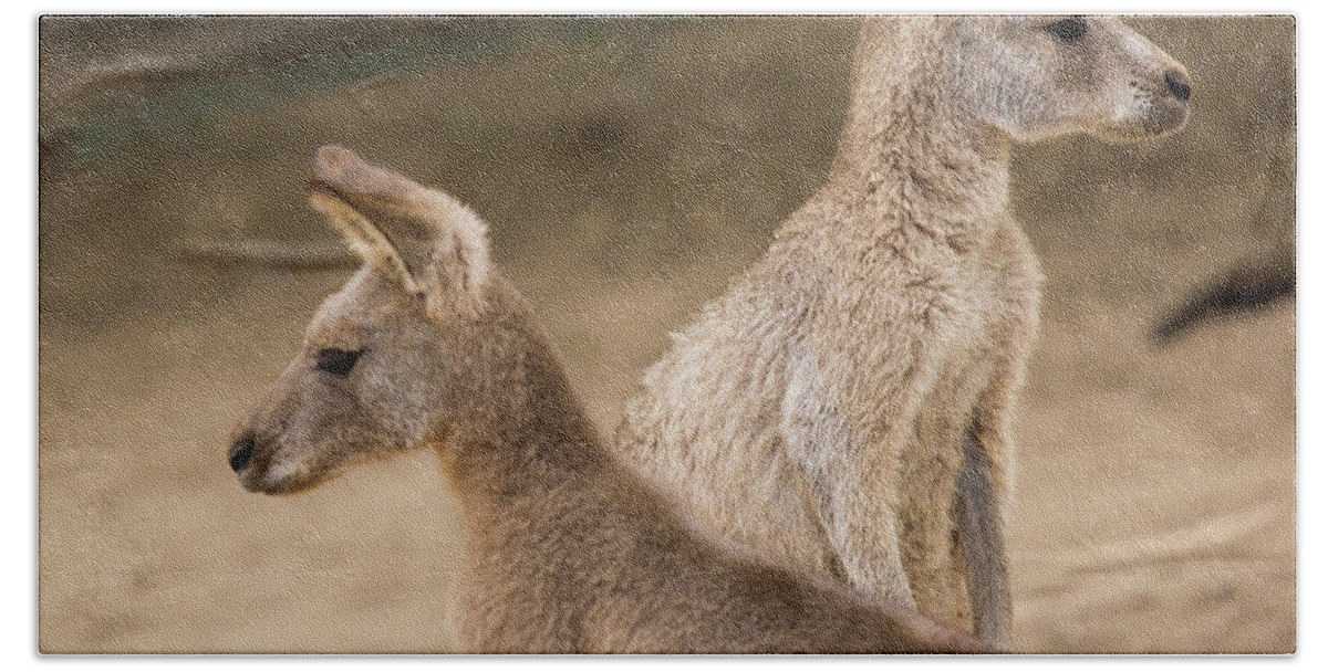 Australia Bath Towel featuring the photograph Which way shall we go? by Agnes Caruso