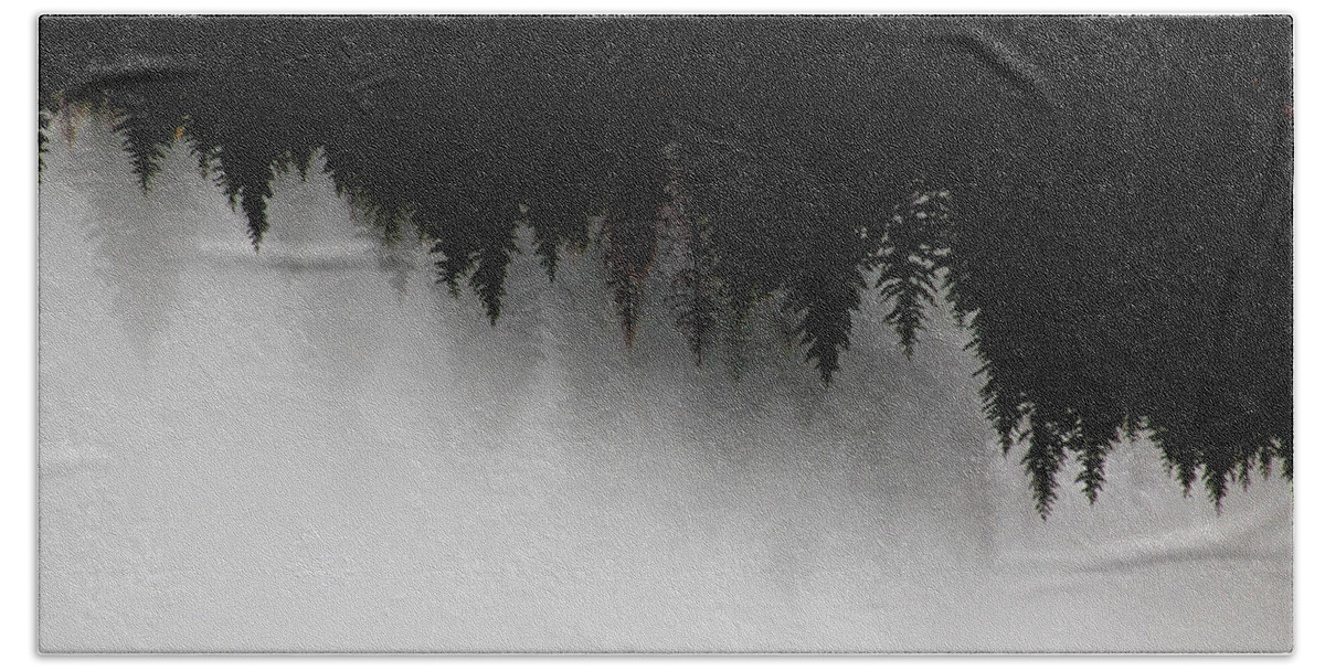 Trees Bath Towel featuring the photograph White and Black Trees by Cathie Douglas