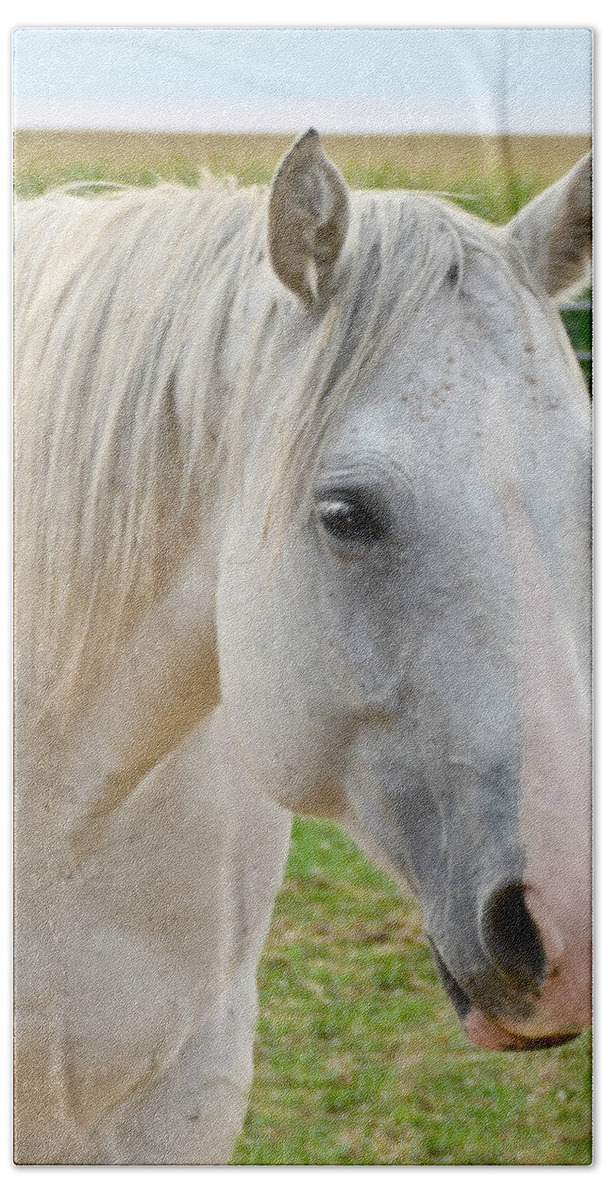 White Horse Bath Towel featuring the photograph White Beauty by Kathy M Krause