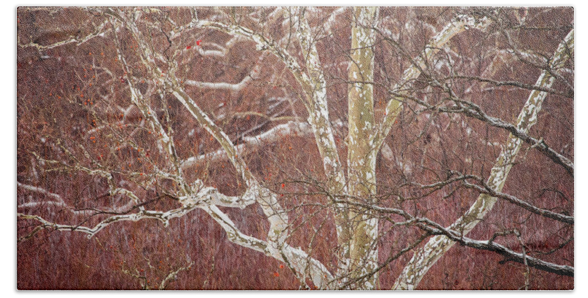 Nature Bath Towel featuring the photograph White Branches by Jeff Phillippi