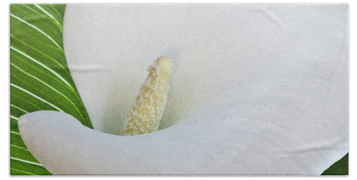 Calla Bath Towel featuring the photograph White Calla by Heiko Koehrer-Wagner