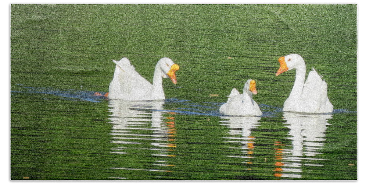 White Chinese Geese Hand Towel featuring the photograph White Chinese Geese by Keith Stokes