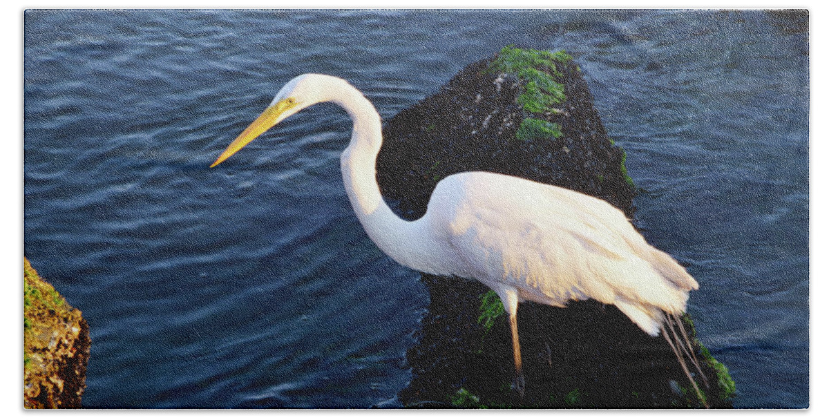 America Bath Towel featuring the photograph White Egret At Sunrise - Barnegat Bay NJ by Robyn King