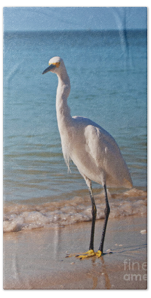 Birds Hand Towel featuring the photograph White Egret by George D Gordon III