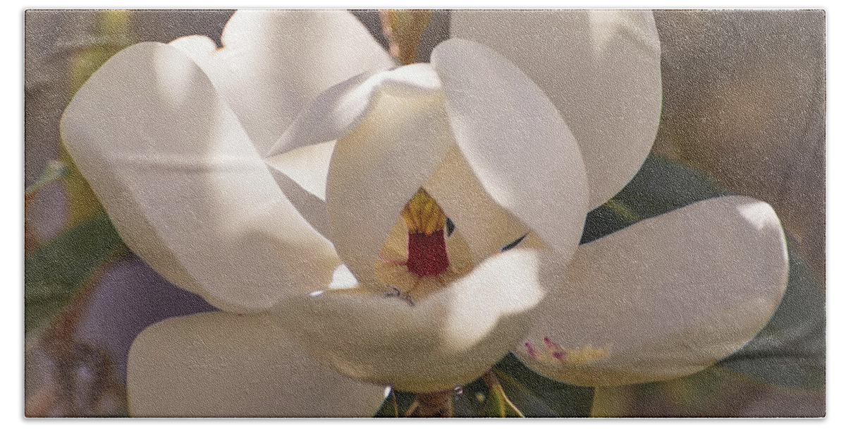 Magnolia Hand Towel featuring the photograph White flower by Zina Stromberg